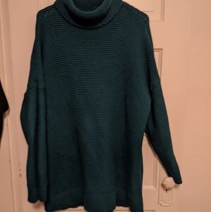 Torrid Knit Turtleneck
